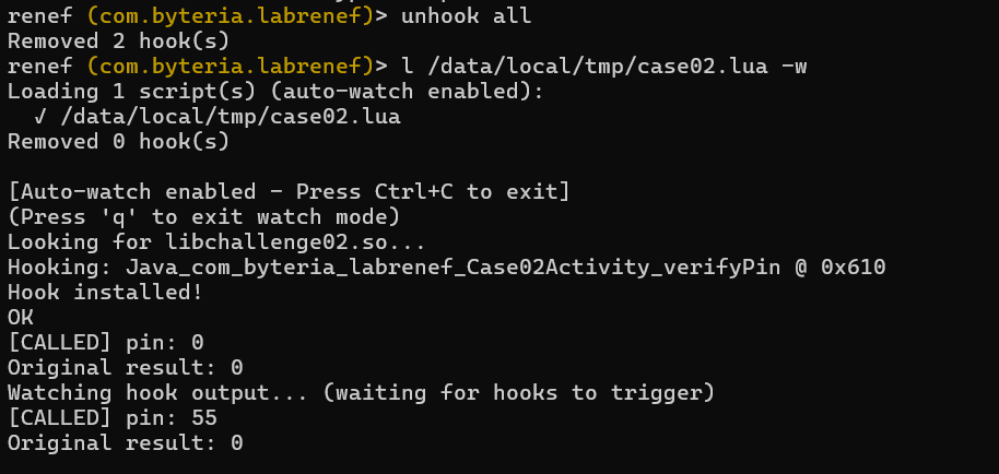Renef Lab Cases - Argument Hook