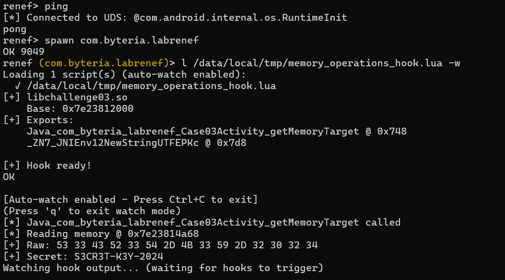 Renef Lab Cases - Memory Operations