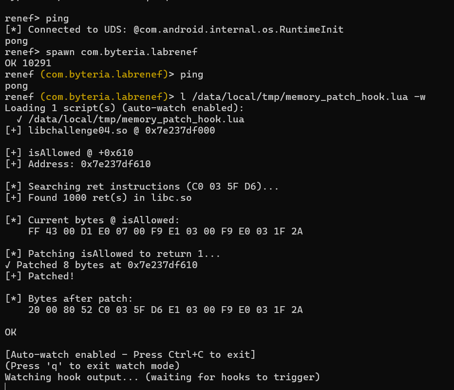 Renef Lab Cases - Memory Patch