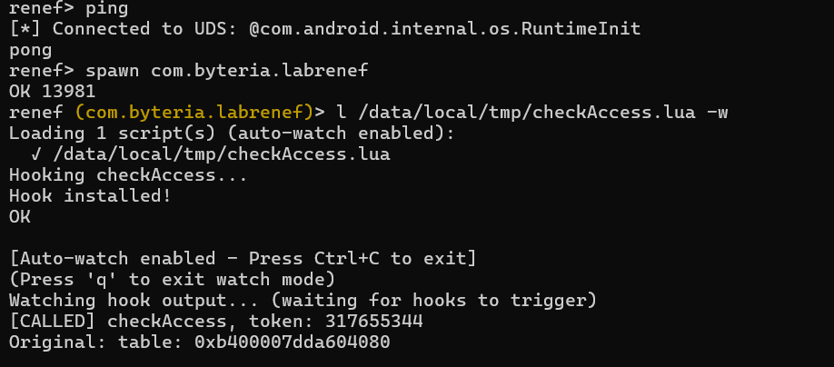 Renef Lab Cases - Static Method Hook