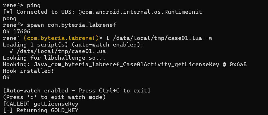 Renef Lab Cases - String Return Hook